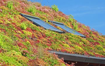 Mid Wilts Way living roof systems